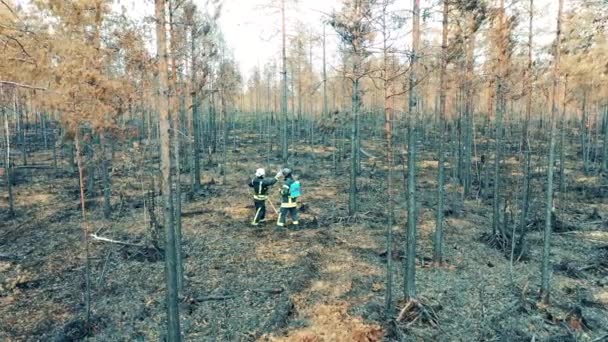 Massive burnt-out forest with two firefighters talking — Stock Video