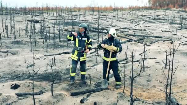 Firemen are looking around the woodland fire zone — Vídeo de Stock