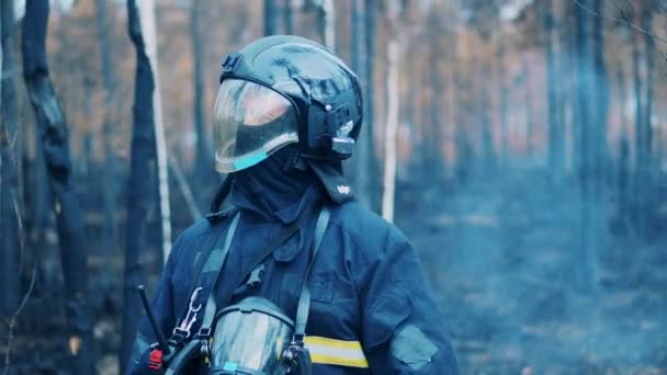 Male firefighter in protection outfit is looking around the forest — Vídeo de Stock