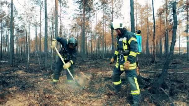 Firefighters are damping down smoldering woodland — Stockvideo