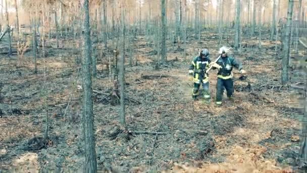 Two firefighters are walking along the woodland fire area — Stock video