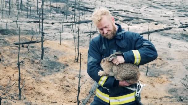 Fireman is stroking a rescued wild rabbit — Stockvideo