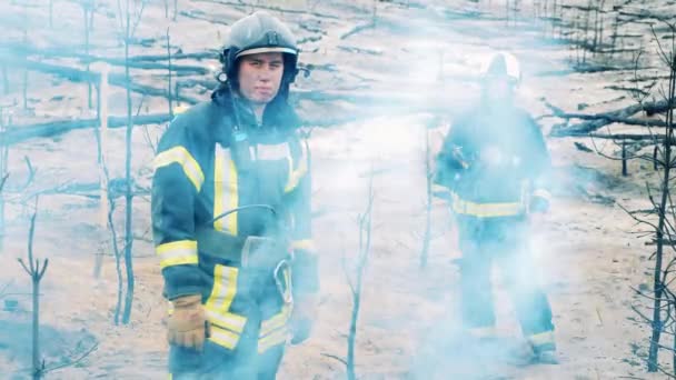 Woodland fire zone with two firefighters in the clouds of smoke — Vídeo de stock