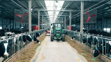 A tractor and a feed pusher are moving riding through the cow farm