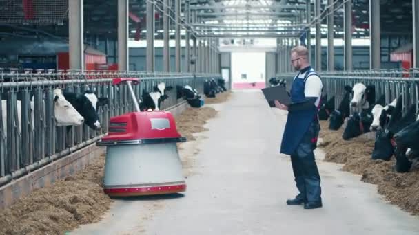 Чоловік-експерт спостерігає, як курка подачі рухається по фермі — стокове відео