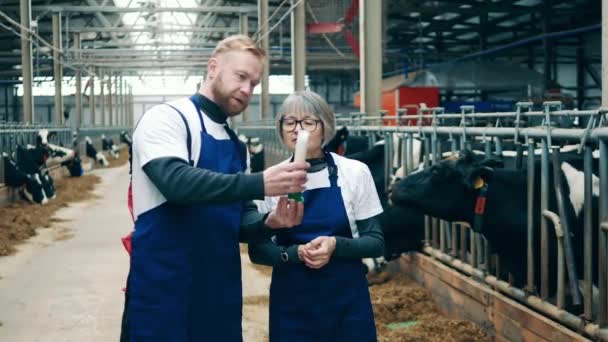 A farmworker is showing a milk sample to his colleague — Stok Video