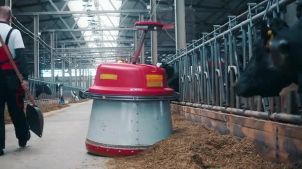 自動機械は牛の近くに干し草を押している — ストック動画