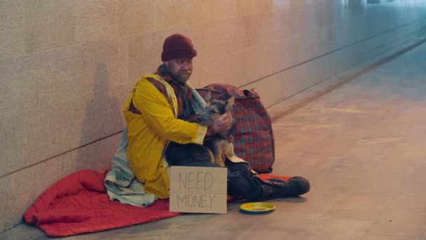 Un limosnero está sentado cerca de una pared con su perro — Vídeos de Stock