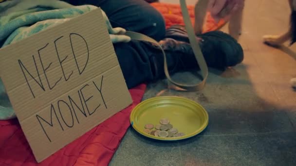 Деньги кладут в тарелку для нищих с собакой поблизости. — стоковое видео