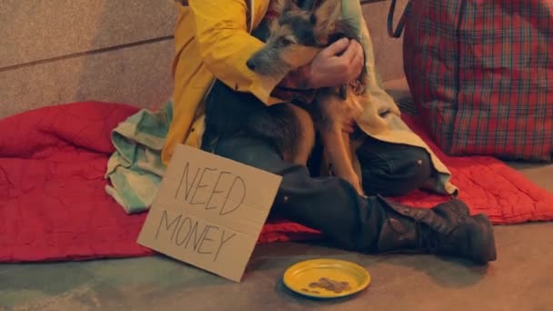 A dog is getting pet by a beggar while sitting on the ground — Stock Video