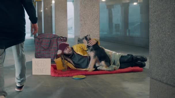 An almsman is lying in the underpass with his dog near him — Stock Video