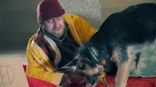 A homeless man is feeding his dog out of his hand — Stock Video