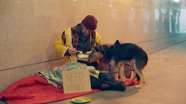 En lösdrivare matar sin hund medan han sitter på marken — Stockvideo