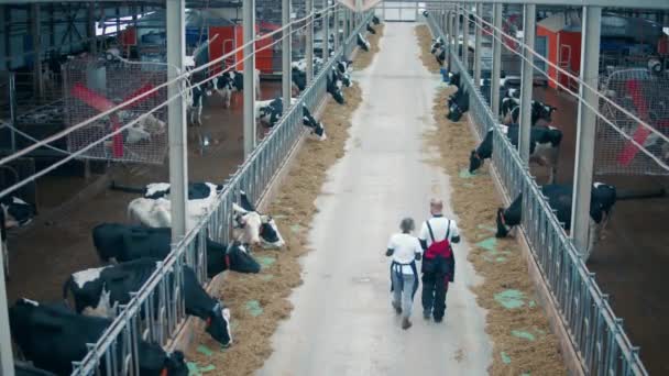 Gospodarstwo hodowlane z dwoma pracownikami przechodzącymi przez nie — Wideo stockowe