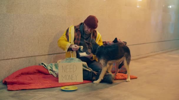 Бездомный лечит свою собаку, сидя на земле. — стоковое видео