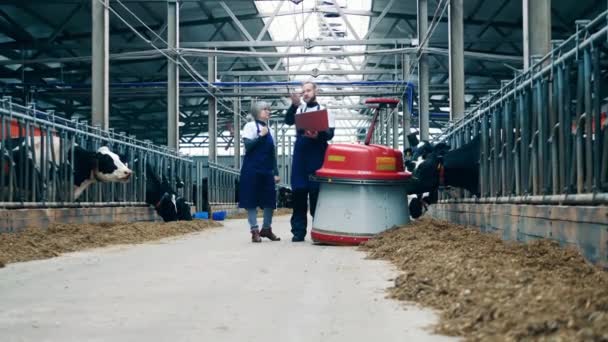 Chovatelé dobytka jdou vedle zemědělského robota — Stock video