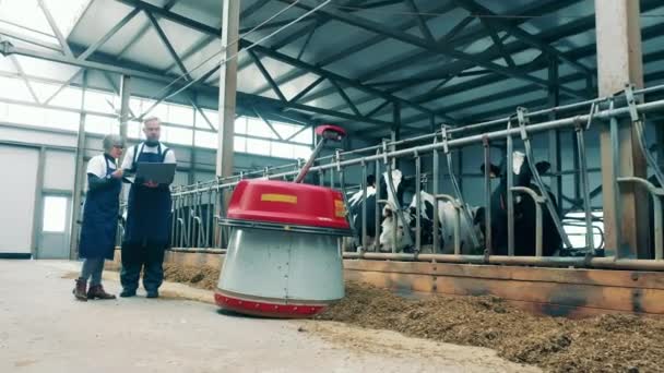 Chovatelé dobytka pozorují robota při práci. — Stock video