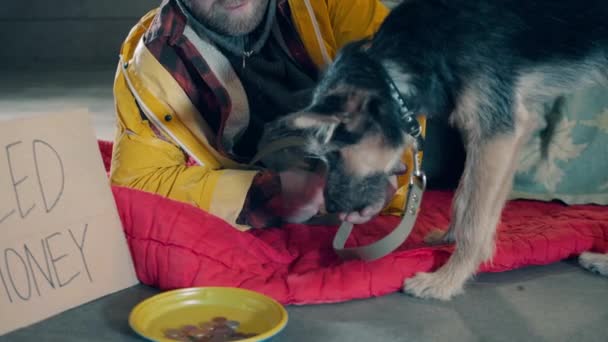 A dog is eating out of beggars hands — Stock Video