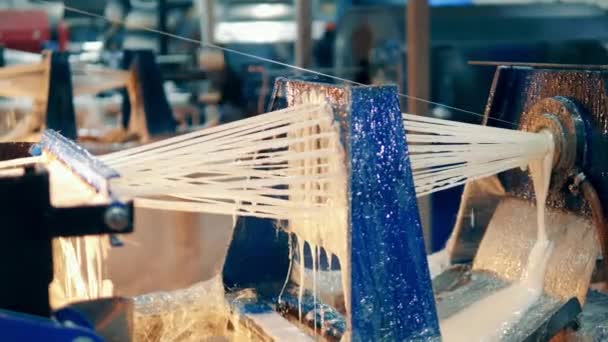 Mastikteki fiberglas dizileri fabrika makinesinden geçiyor. — Stok video