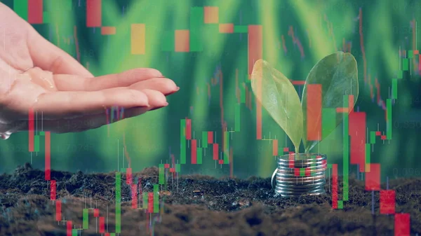 A hand is pouring water onto the soil with coins on it