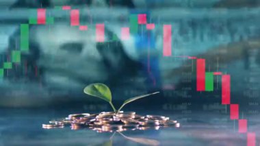 Multilayered screen with a plant on a pile of coins and live stock charts