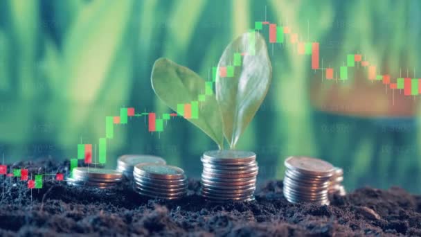 Multilayered image of stock charts and coins with plants on them — Wideo stockowe