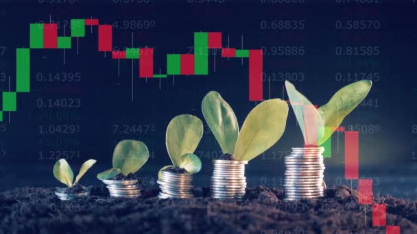 Live stock charts and coins with plants on them — Video