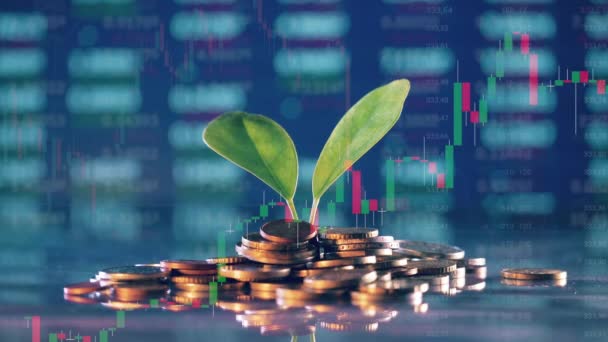 A plant on a pile of money with dynamic stock charts in the background — Stock videók