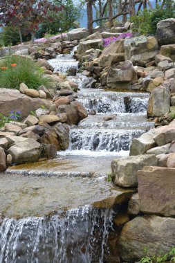 Ormanda güzel bir şelale