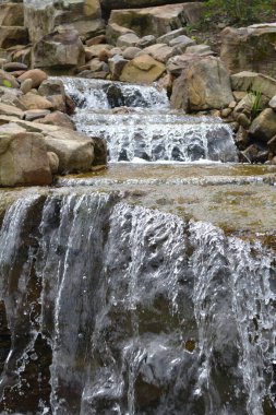 Ormanda güzel bir şelale