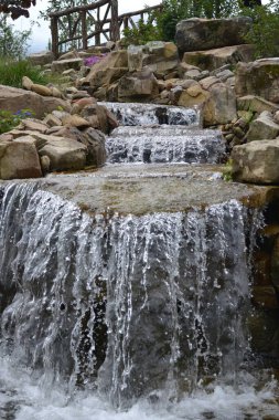 Ormanda güzel bir şelale