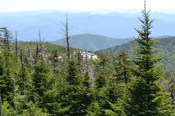 Schöne Landschaft Mit Bergen Und Wald — Stockfoto