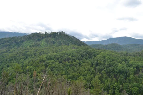 Schöne Aussicht Auf Die Berge — Stockfoto