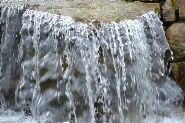 Ormanda Şelale — Stok fotoğraf