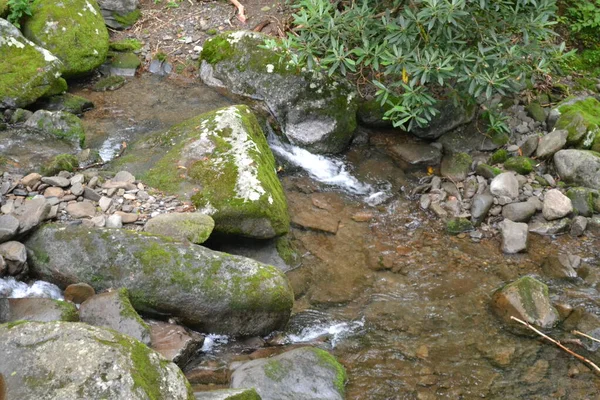 Schöner Wasserfall Wald — Stockfoto