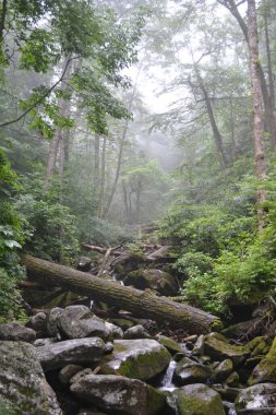 Dağların güzel manzarası