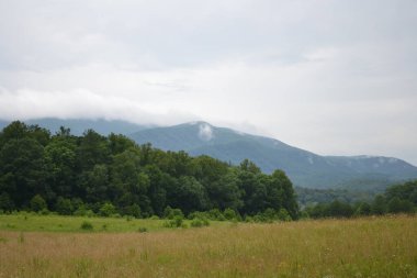 Dağları ve bulutları olan güzel bir manzara