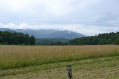 Arkasında bir dağ olan güzel bir manzara.
