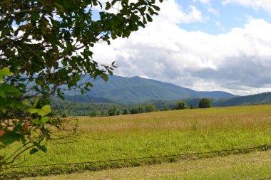 Arkasında bir dağ olan güzel bir manzara.