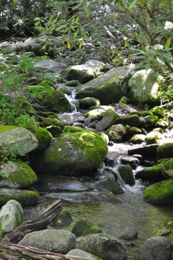 Dumanlı dağların manzarası