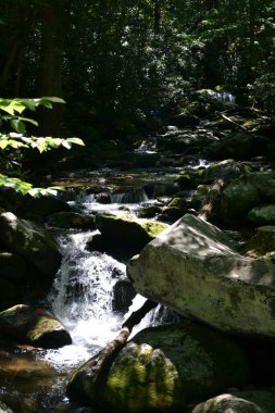 Dumanlı dağların manzarası