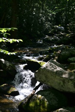 Dumanlı dağların manzarası