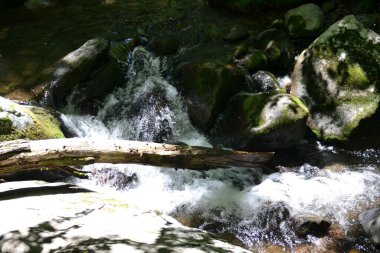 Dumanlı dağların manzarası