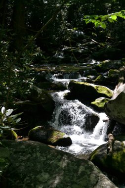 Dumanlı dağların manzarası