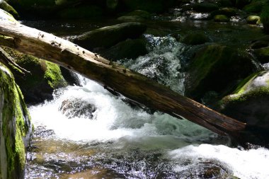 Dumanlı dağların manzarası