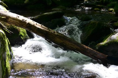 Dumanlı dağların manzarası