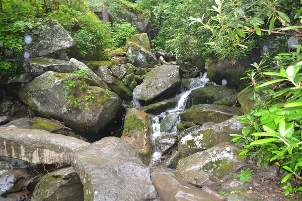 Belle Cascade Dans Forêt — Photo