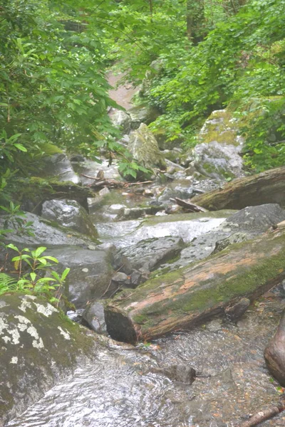 Belle Cascade Dans Forêt — Photo