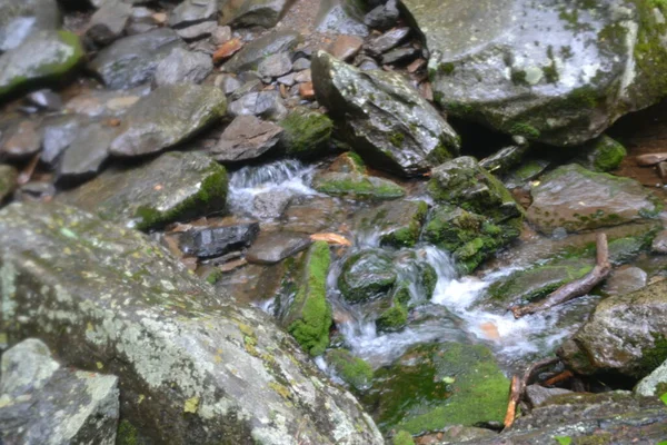 Vackert Vattenfall Skogen — Stockfoto