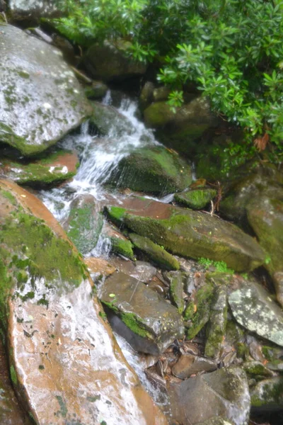 Belle Cascade Dans Forêt — Photo